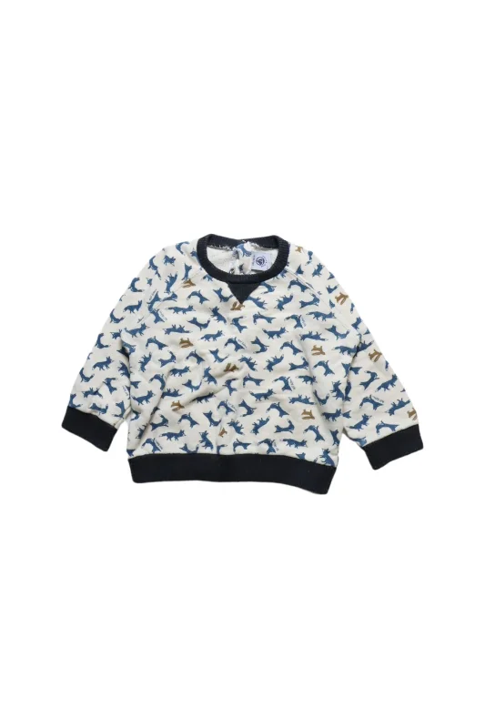 CrewneckchicPetit Bateau Crewneck Sweatshirt 18-24M